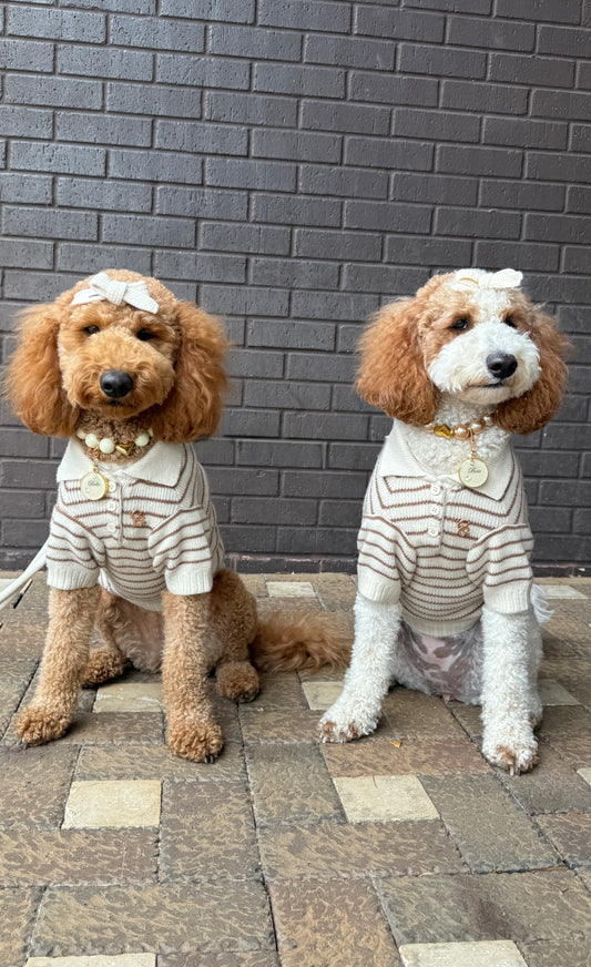 Rowe Dog Knit Polo - Soft Oat