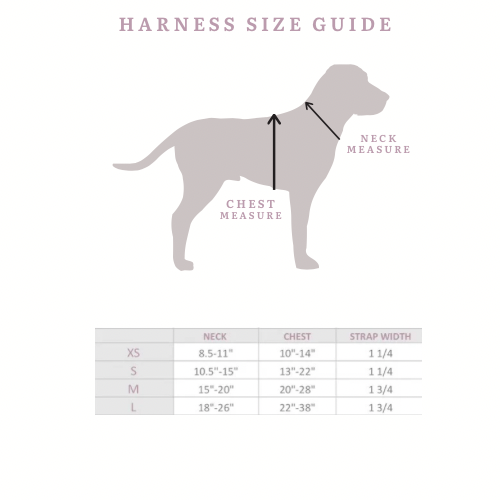 Comfort Sleek Sage Harness/Leash Bundle