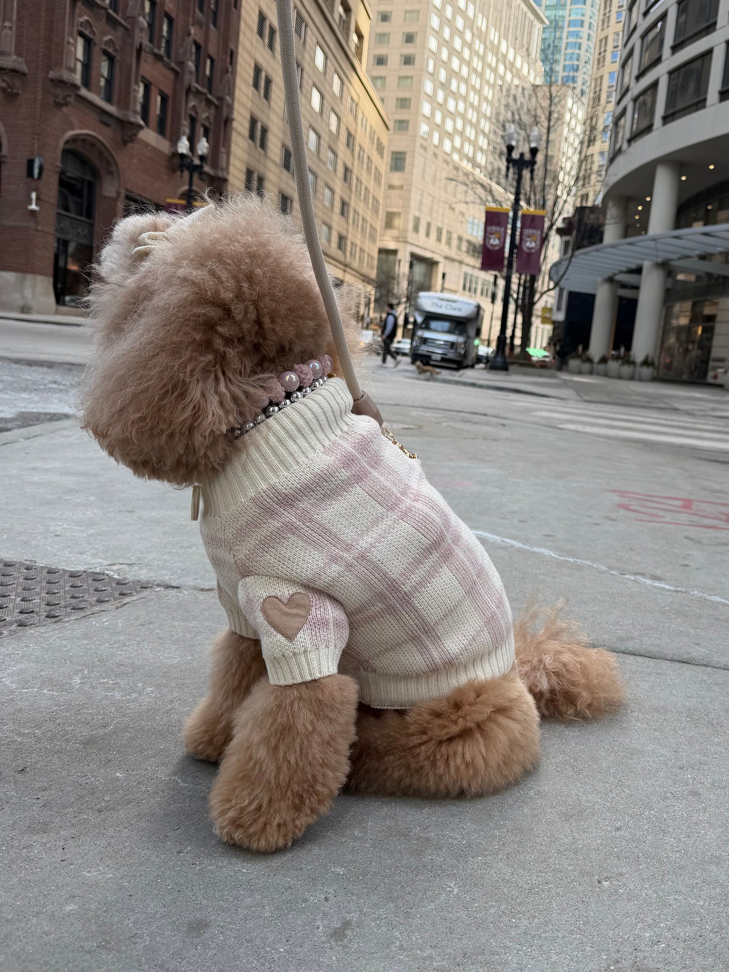 Hearthmauve Sweater Set