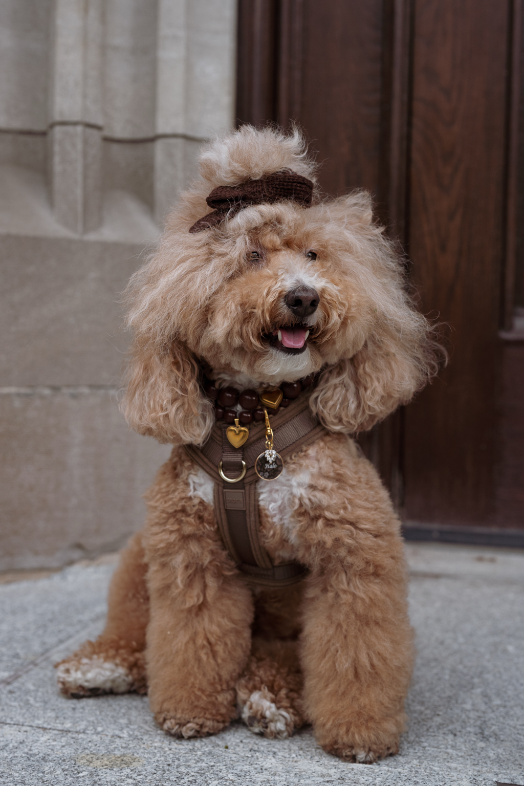 Comfort Sleek Harness - Mushroom