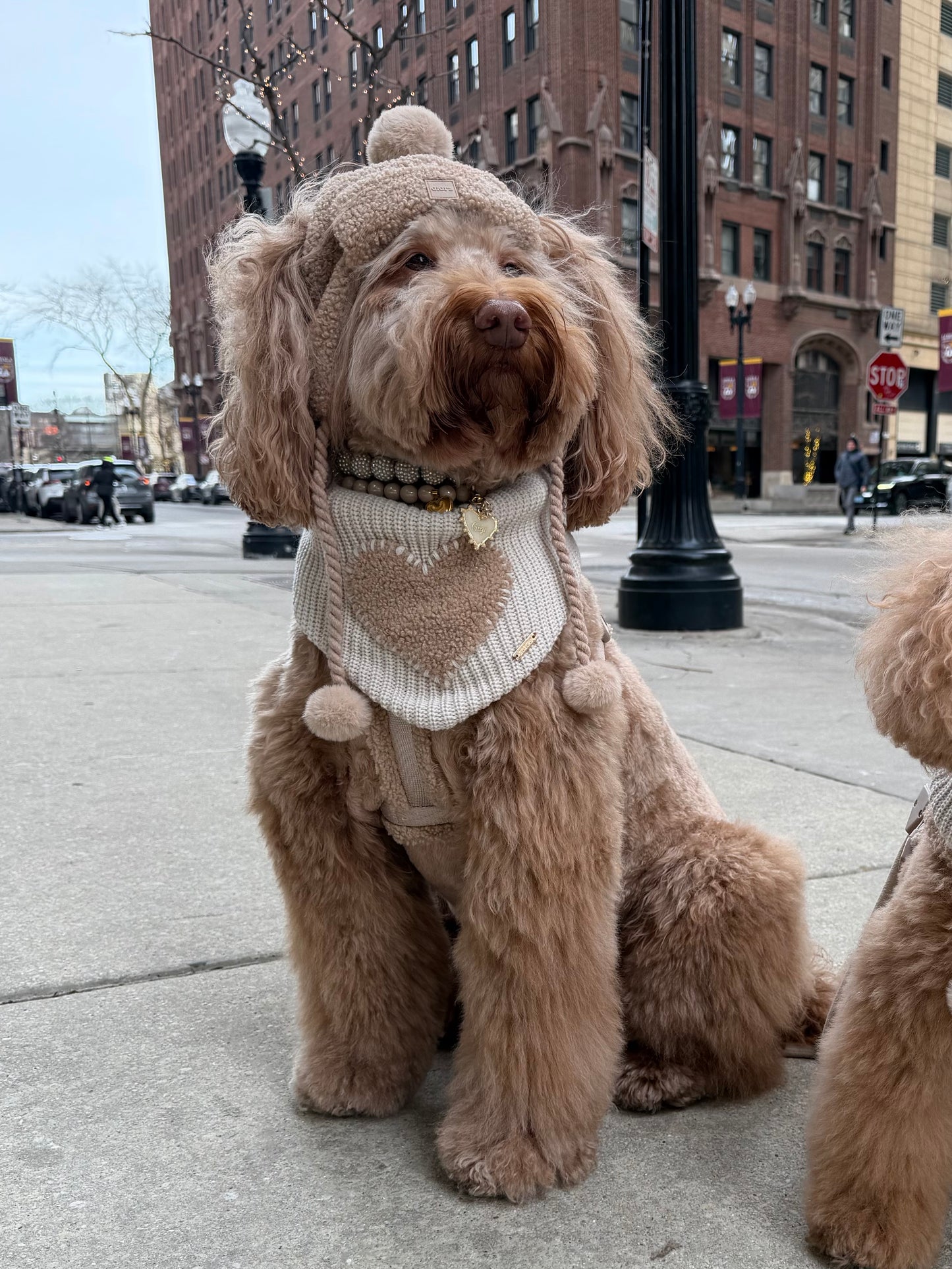 Warm Hearted Bandana