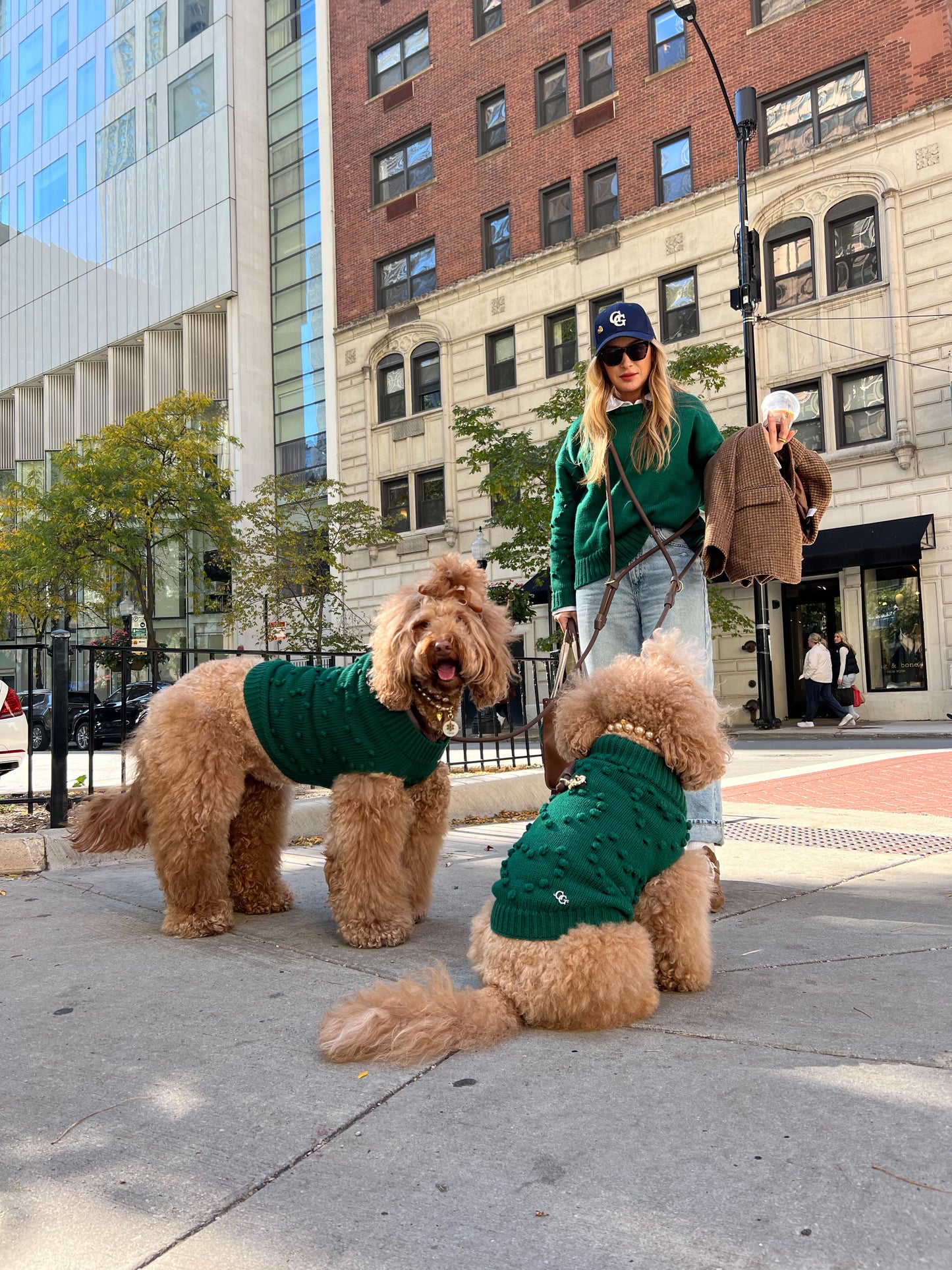 Evergreen Knit Dog Sweater
