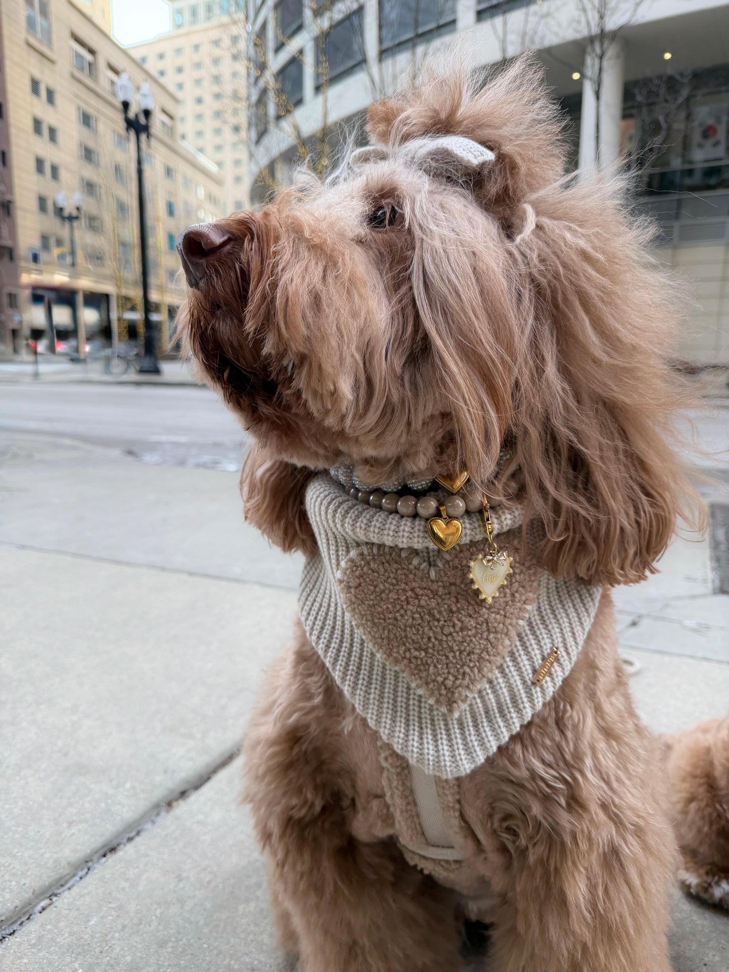 Warm Hearted Bandana