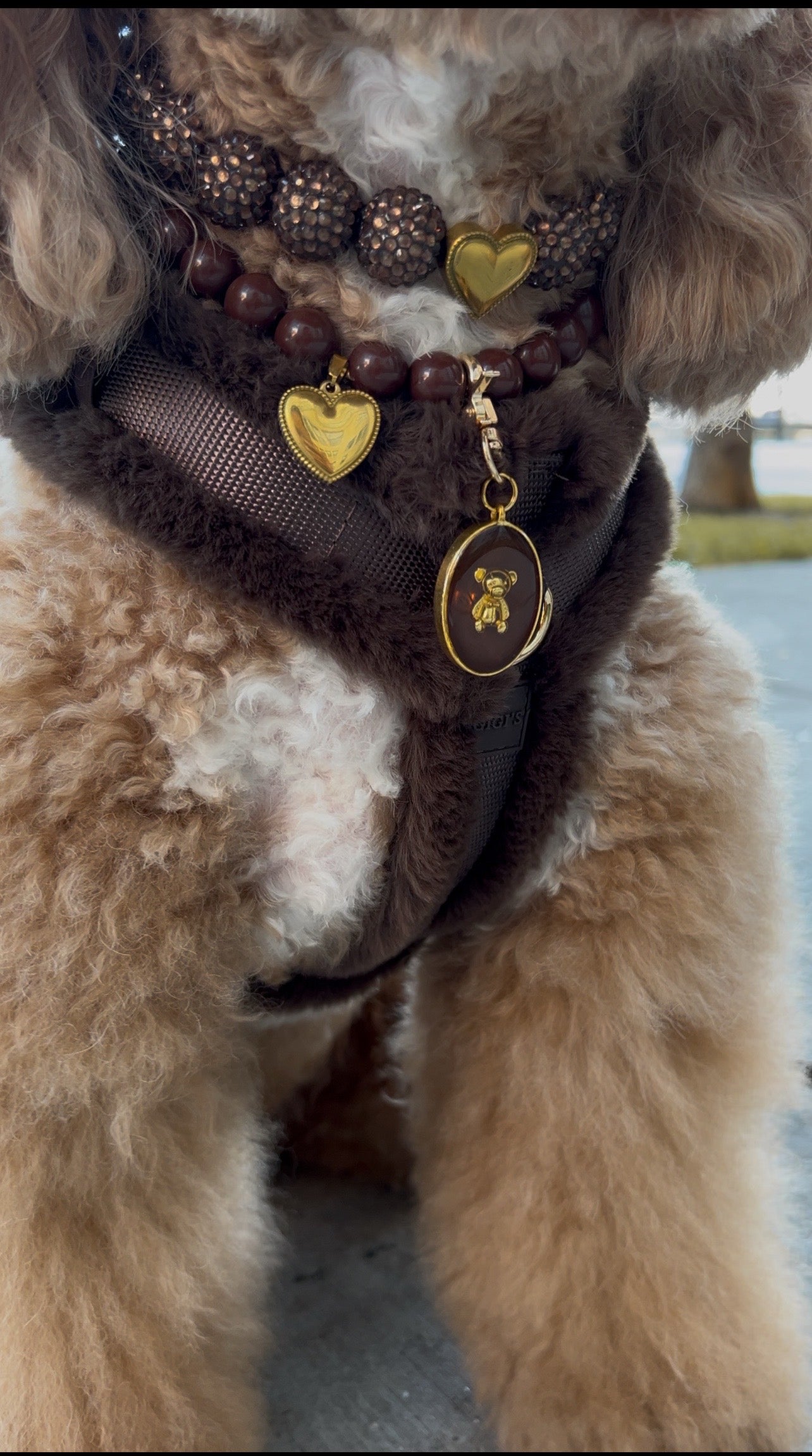 Comfort Furlowe Harness & Hands-Free Bundle - Mocha