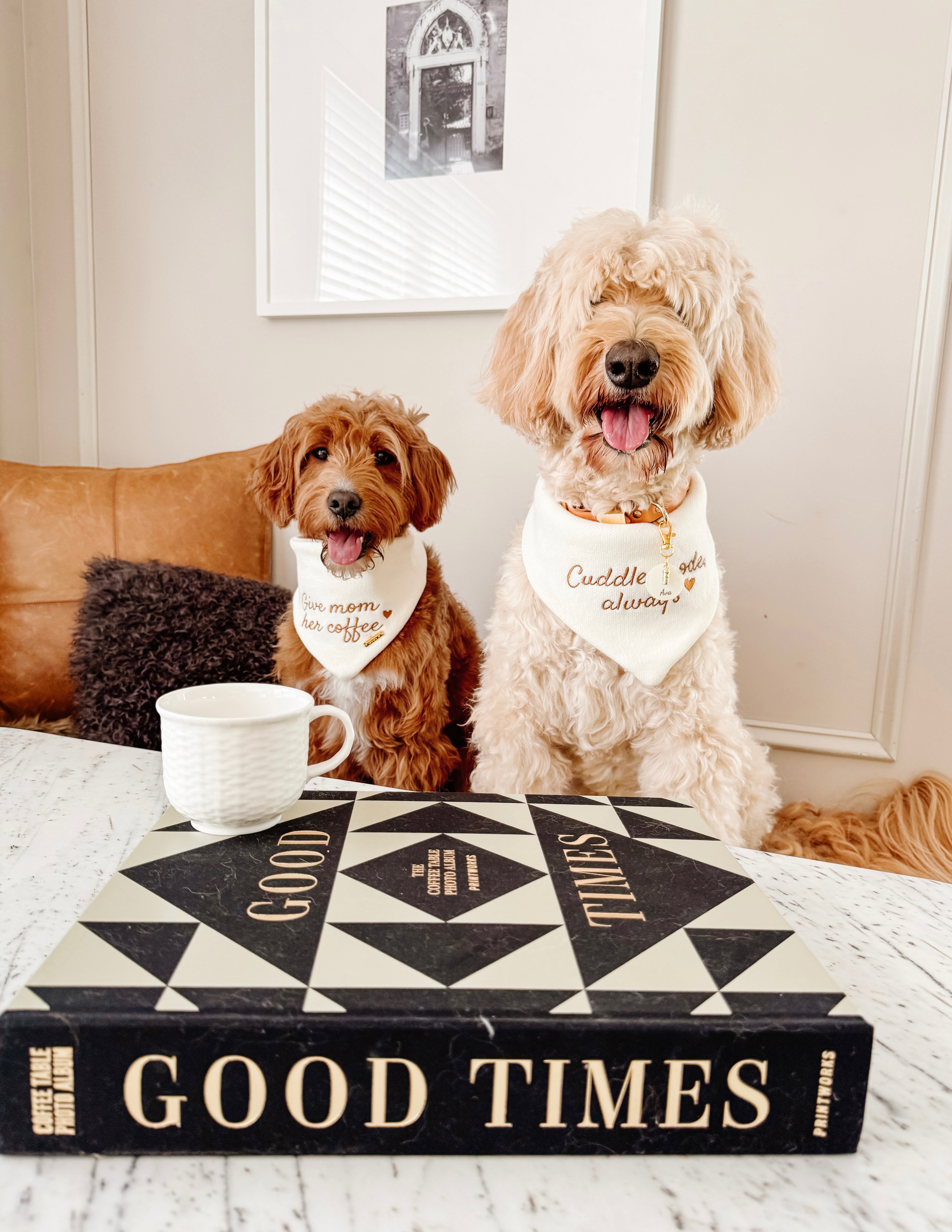 Coffee & Cuddles Reversible Bandana – Pawshion by Gigi