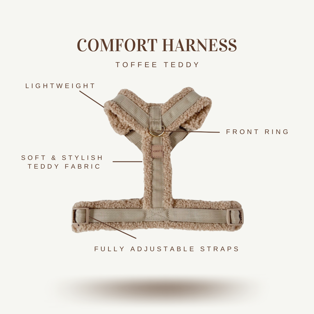 Comfort Teddy Harness/Leash Set- Toffee