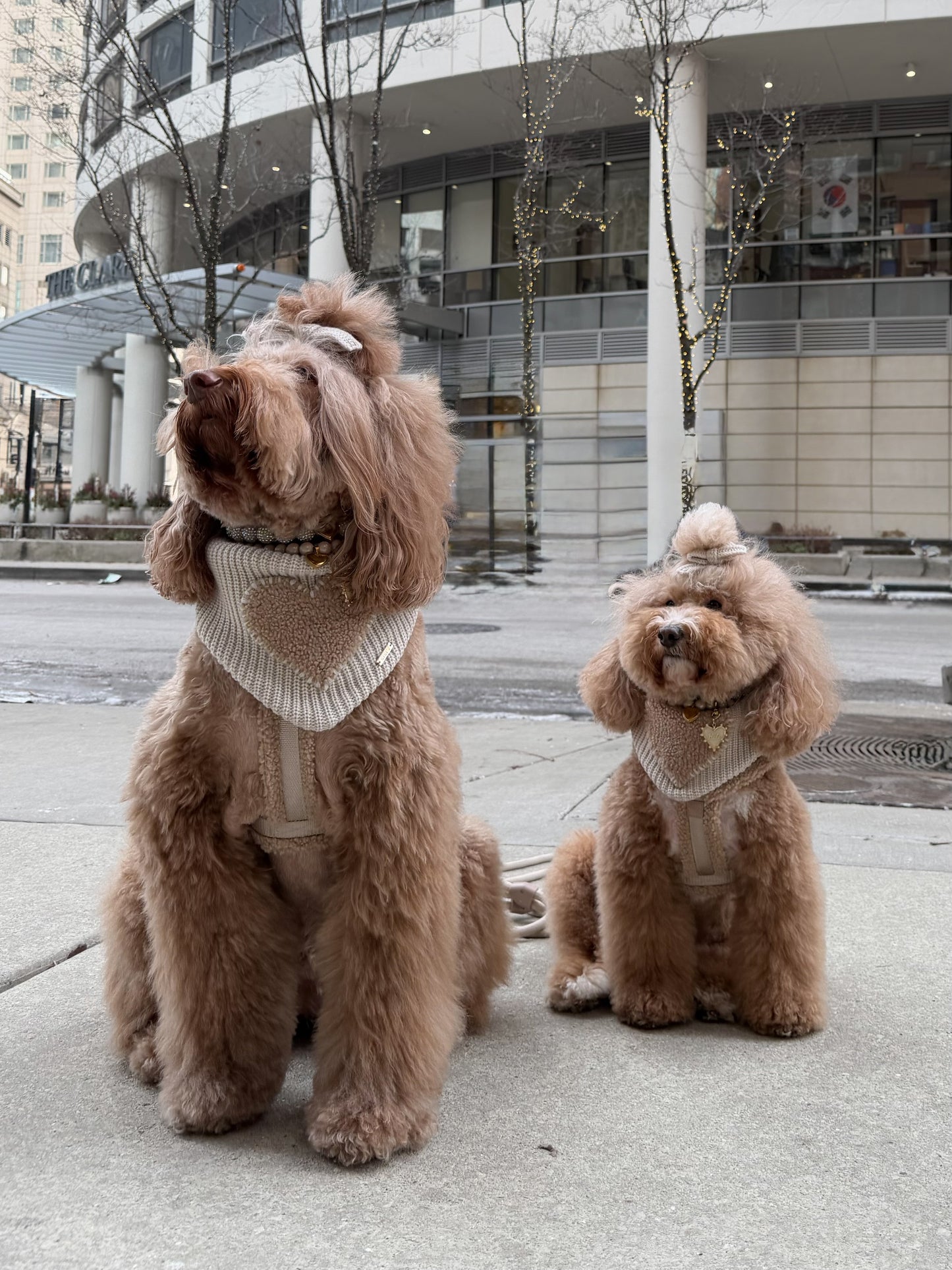 Warm Hearted Bandana