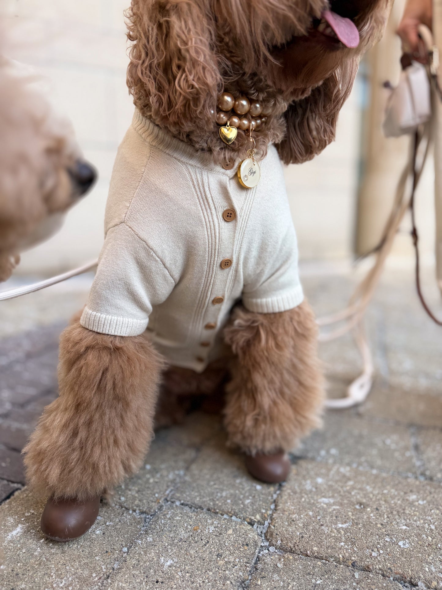 Cora Dog Knit Cardigan - Soft Oat