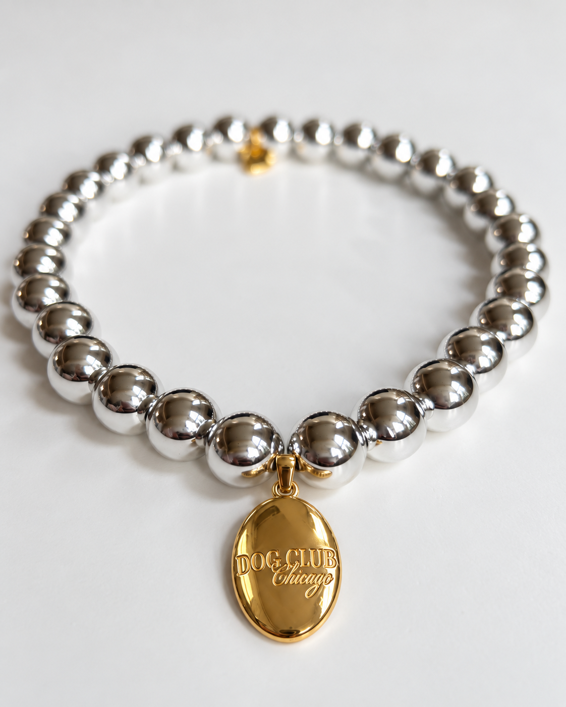 Dog Club Silver Gleam Skinny Necklace