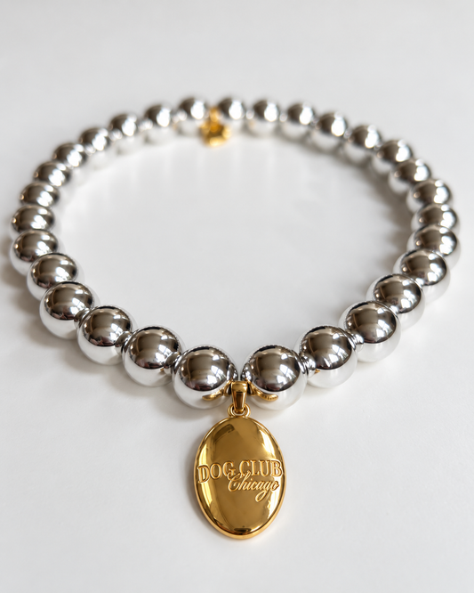 Dog Club Silver Gleam Skinny Necklace