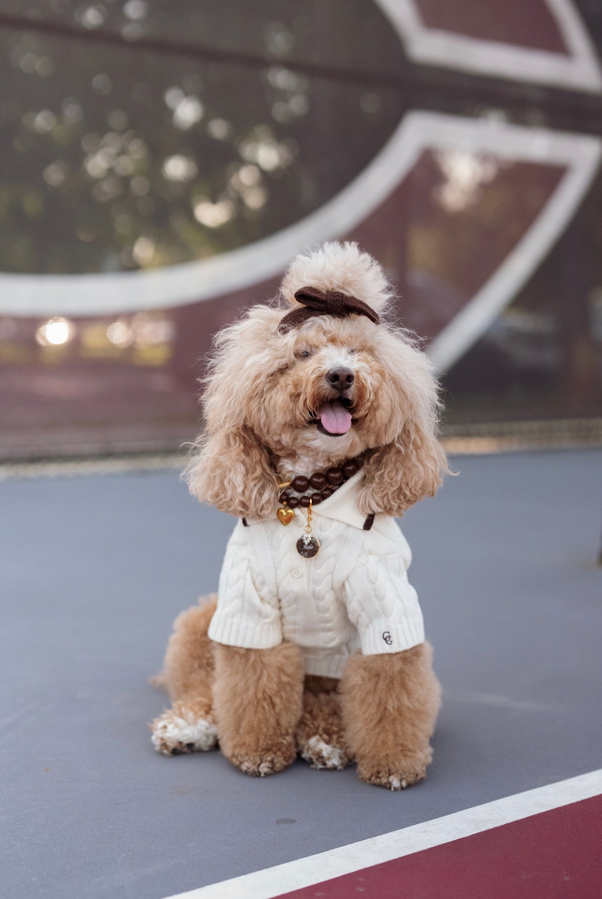 Astor Dog Knit Polo - Ivory