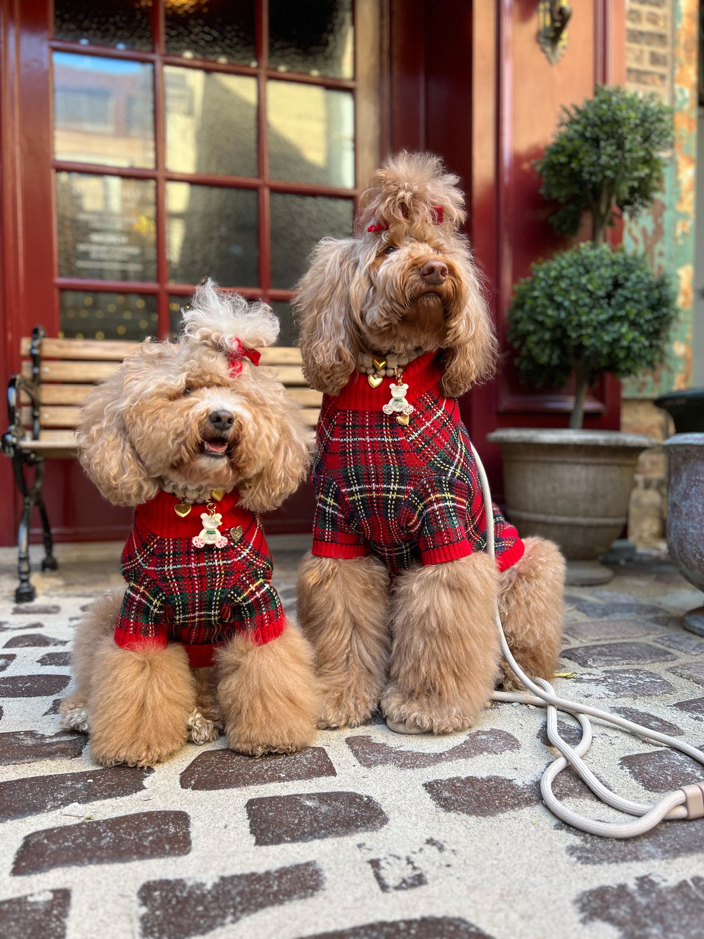 Tartanette Sweater Set