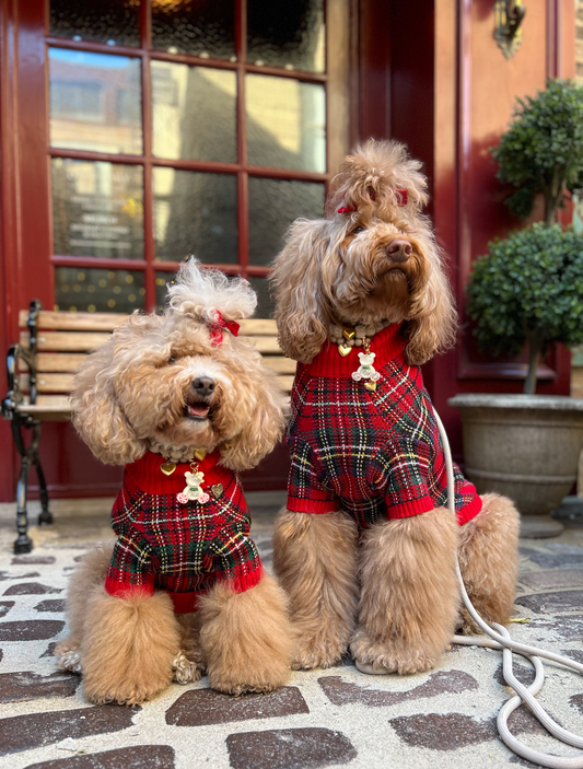 Tartanette Dog Sweater