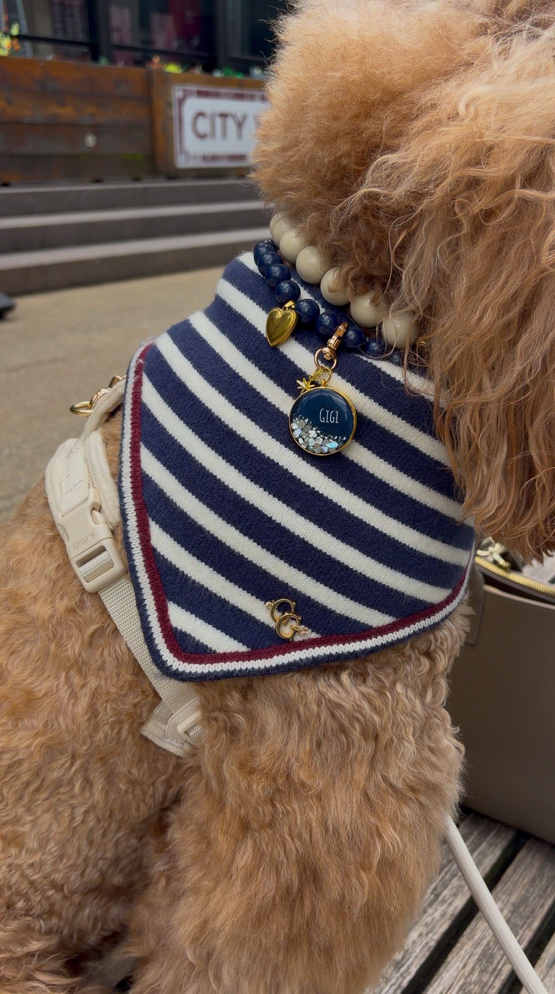 Rhodes Reversible Dog Bandana - Navy