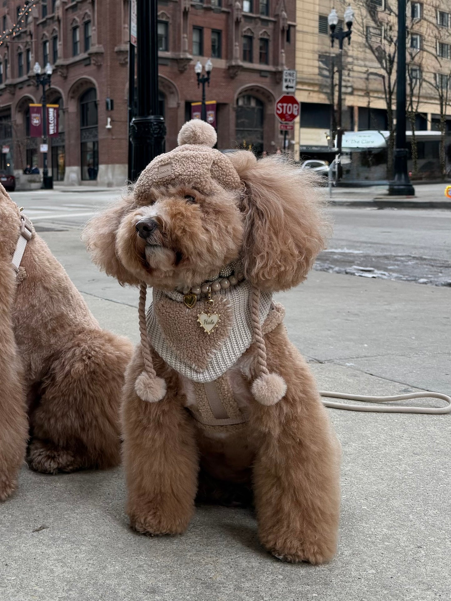 Warm Hearted Bandana