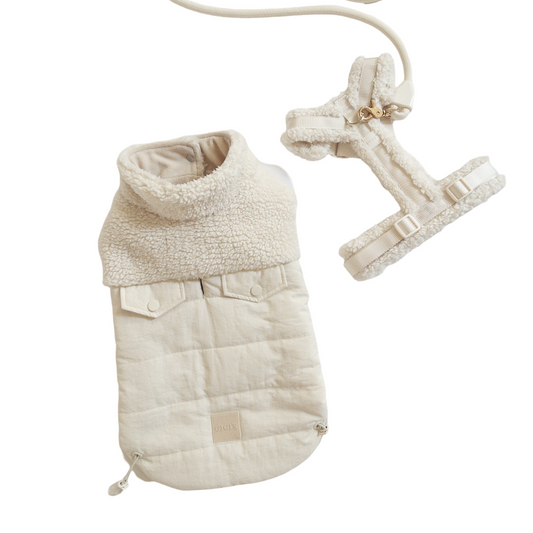 Comfort Teddy Creamy Cloud Trio Bundle