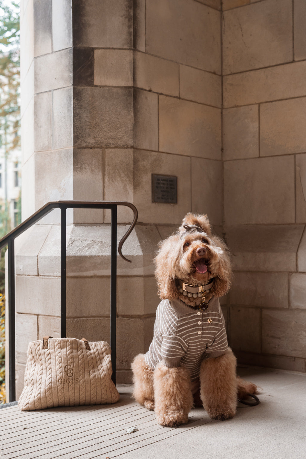 Rowe Dog Knit Polo - Mushroom