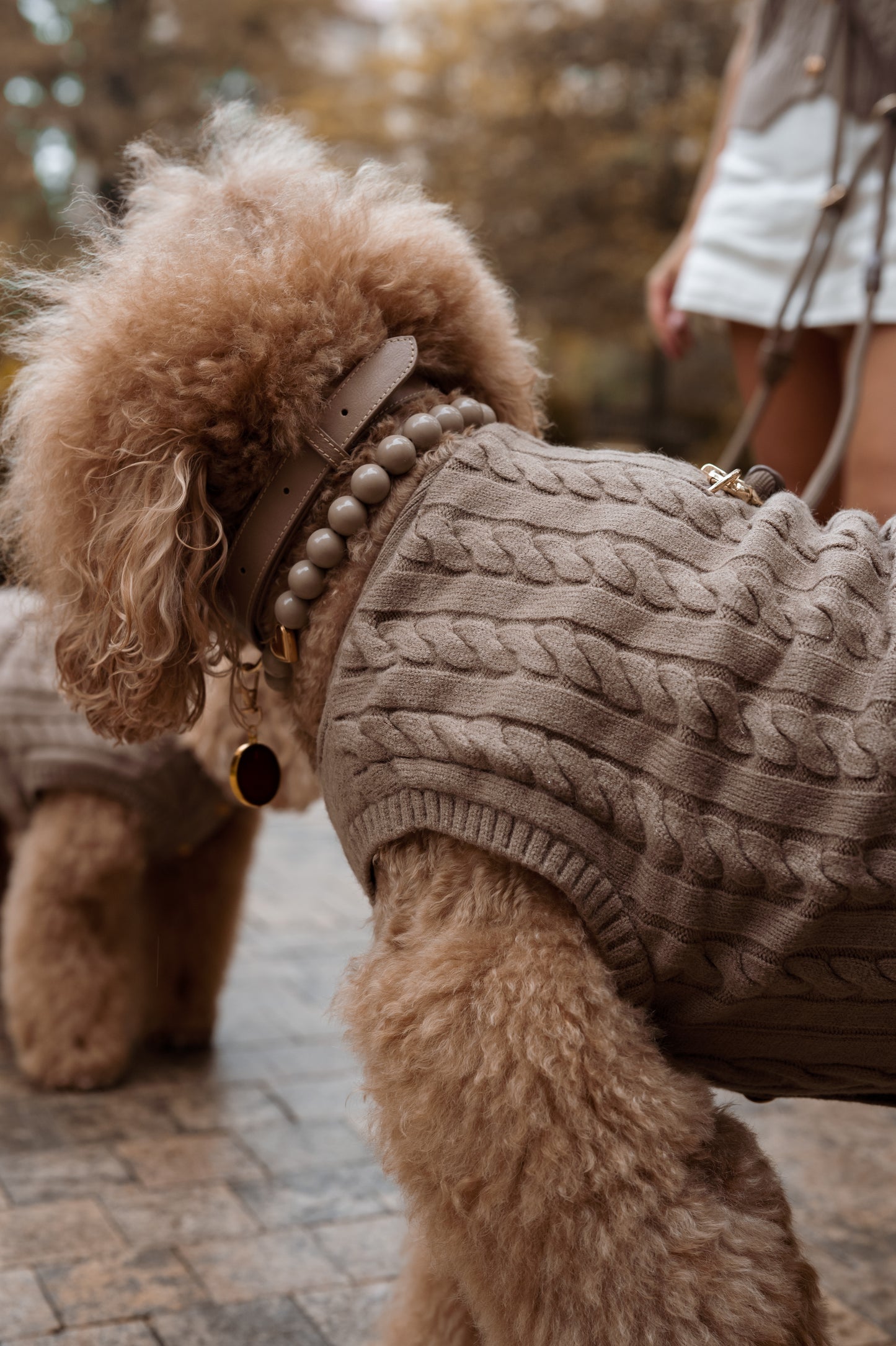 Ellis Knit Vest Set - Mushroom
