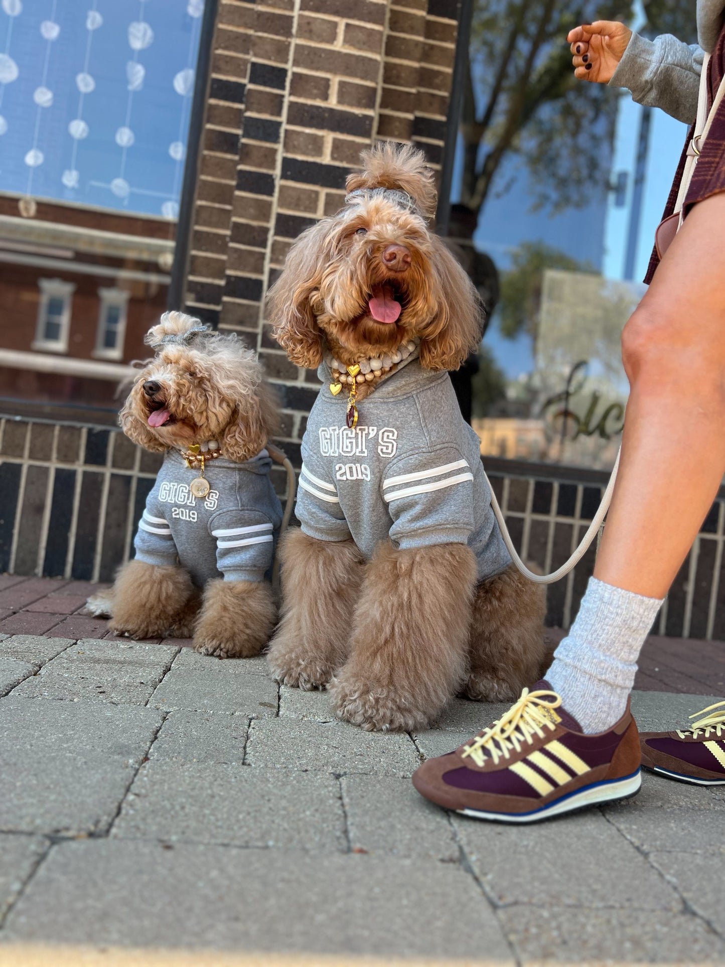 Heritage 2019 Hoodie Bundle