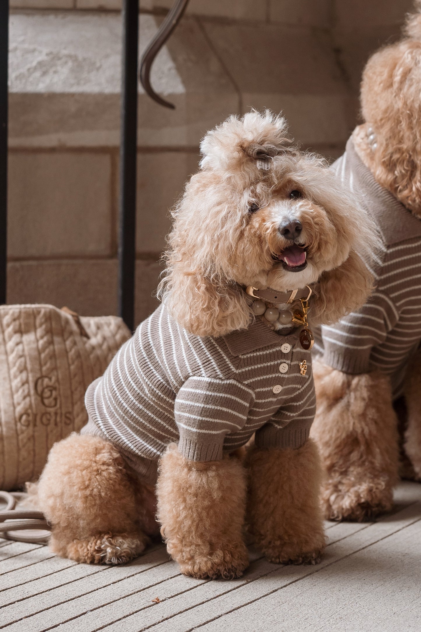 Rowe Knit Polo Set - Mushroom