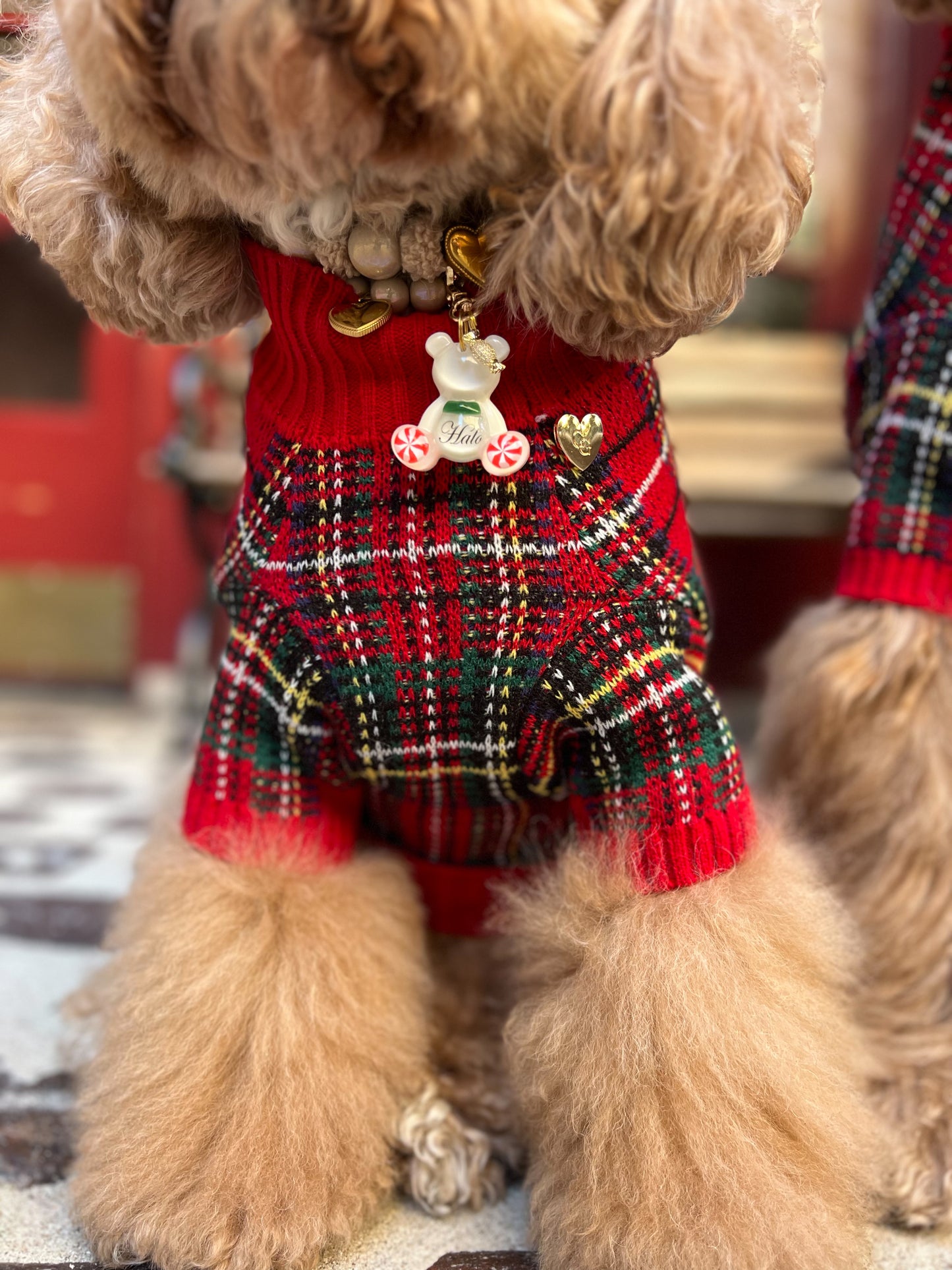 Tartanette Dog Sweater