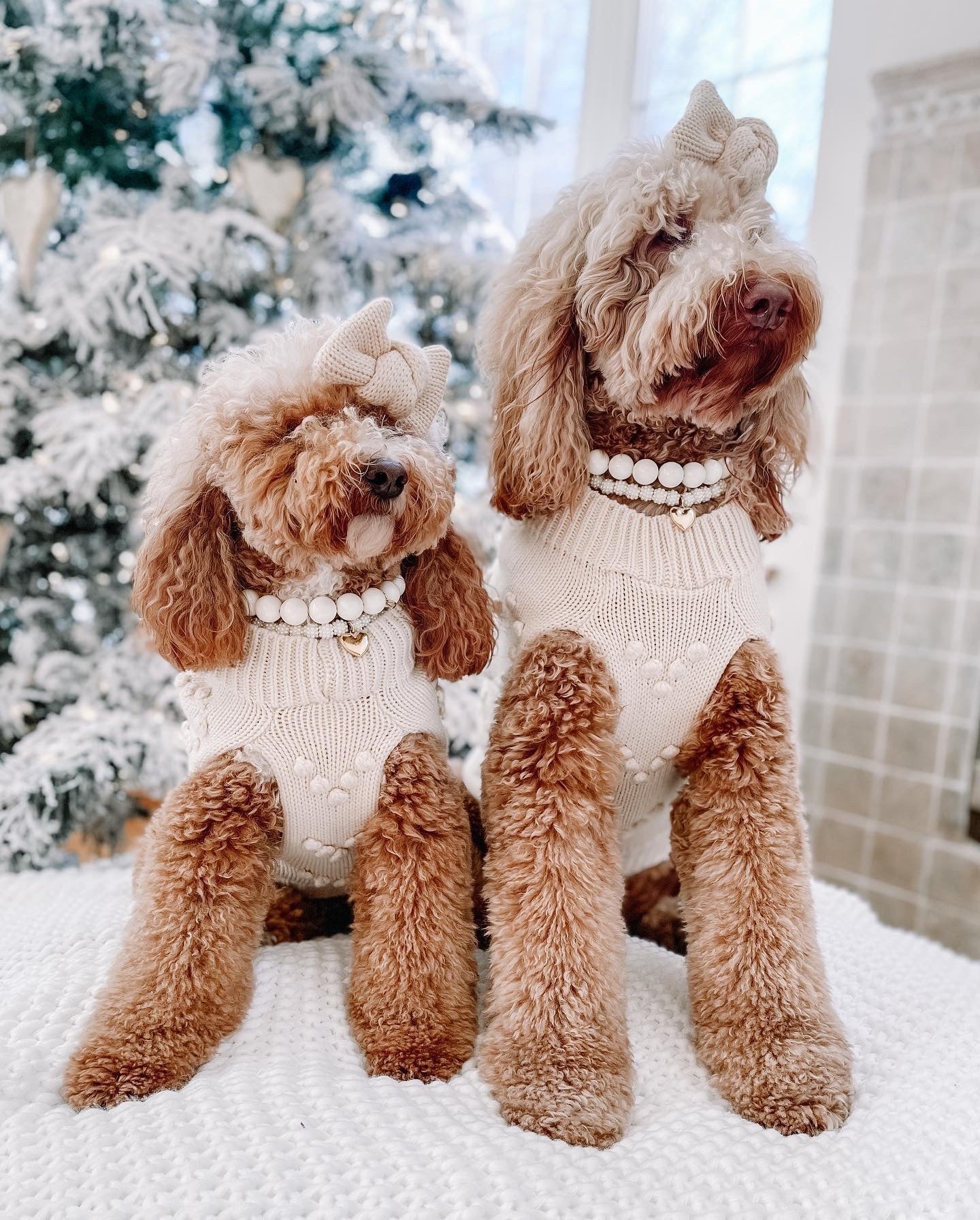 Vanilla Sugar Cookie Sweater