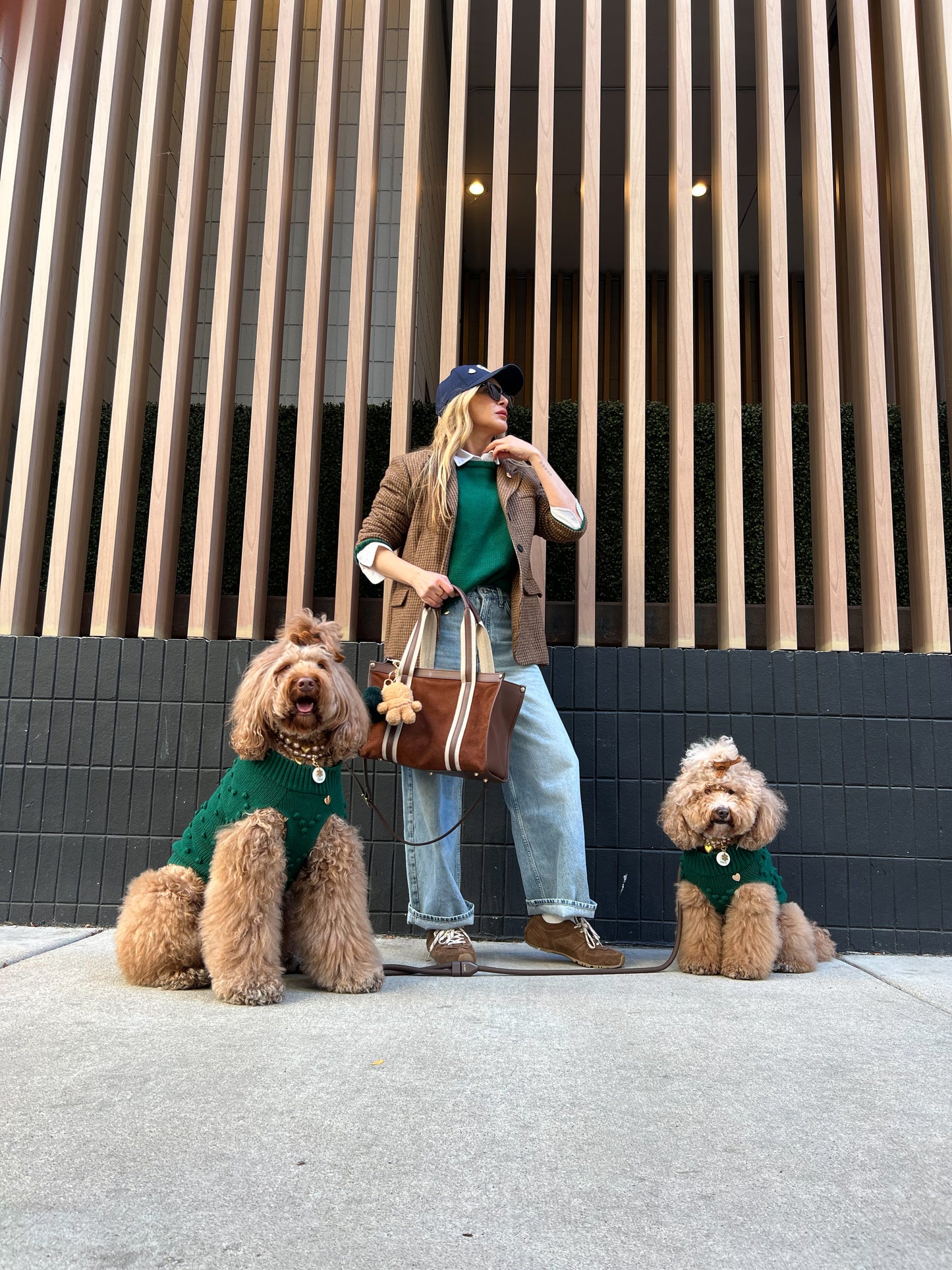 Evergreen Knit Dog Sweater