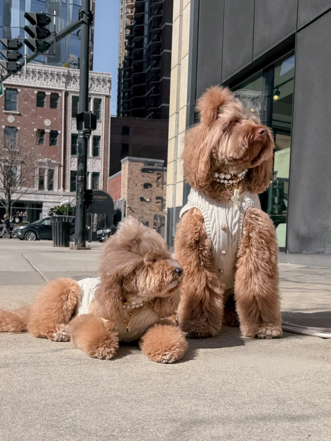 Ellis Dog Knit Vest- Soft Oat