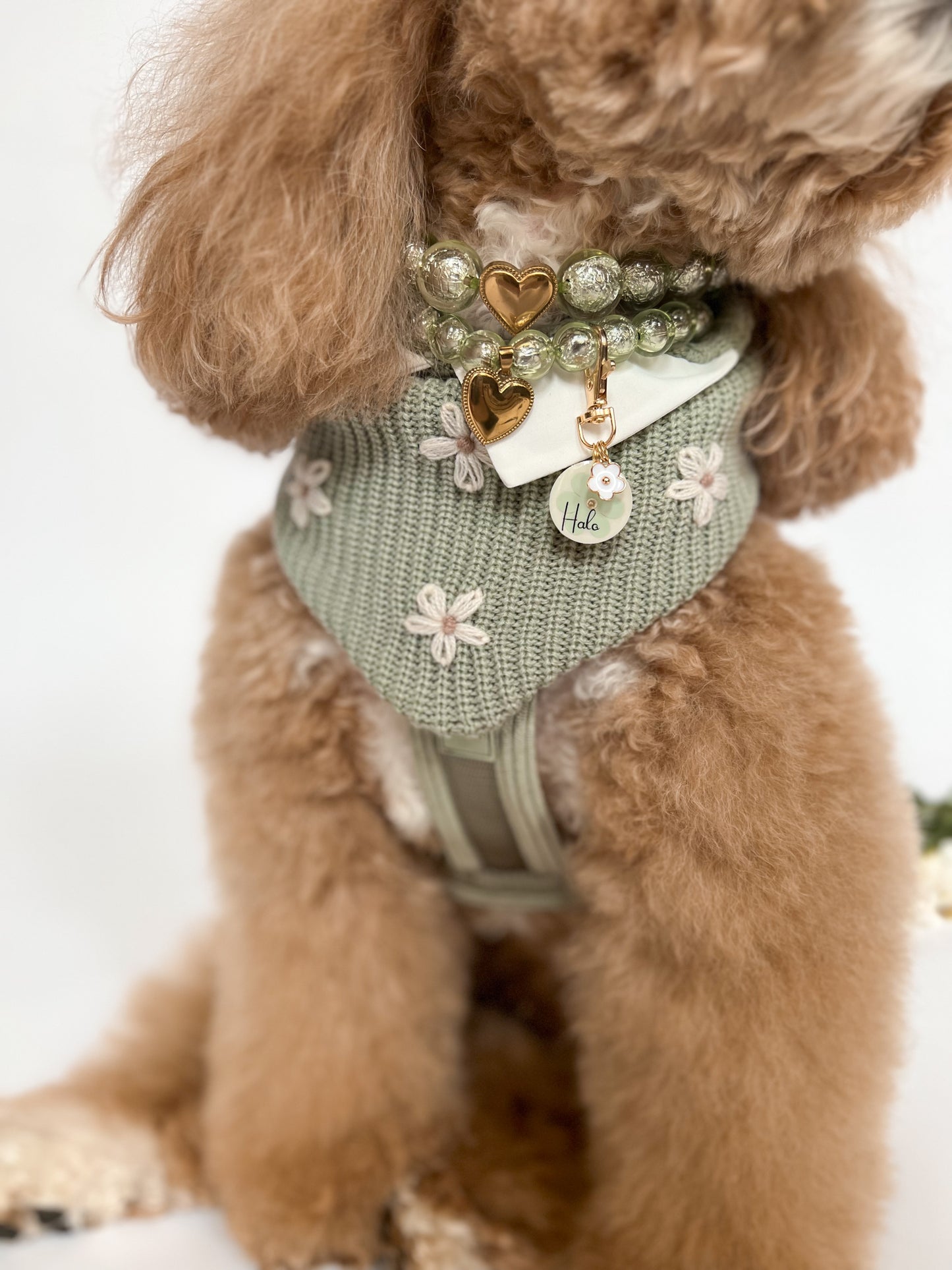 Eloise Sage Reversible Bandana