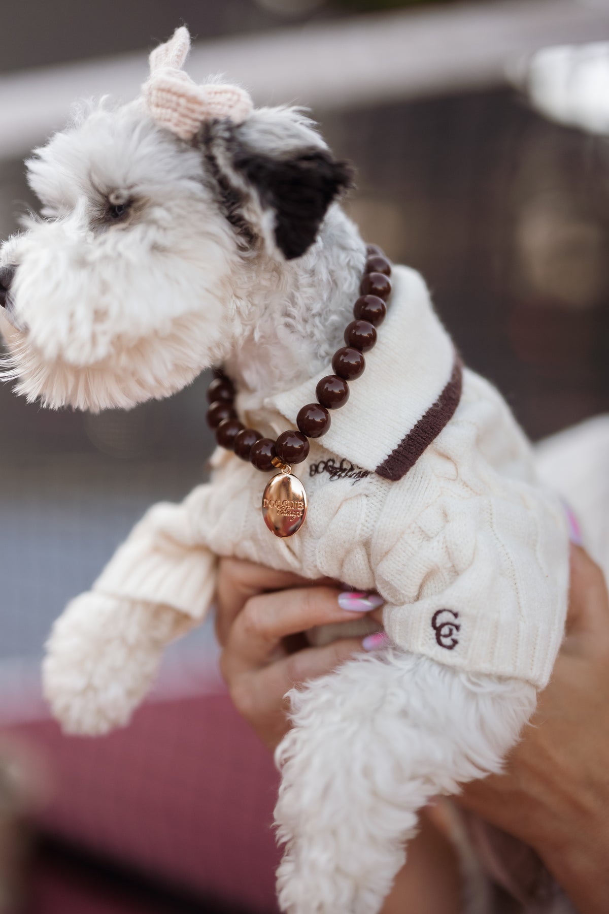 Dog Club Pretty Dark Chocolate Skinny Necklace
