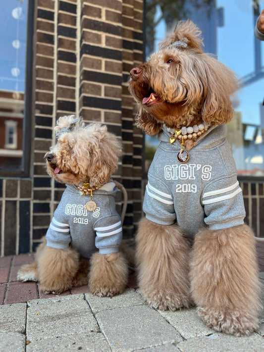 Heritage 2019 Dog Hoodie