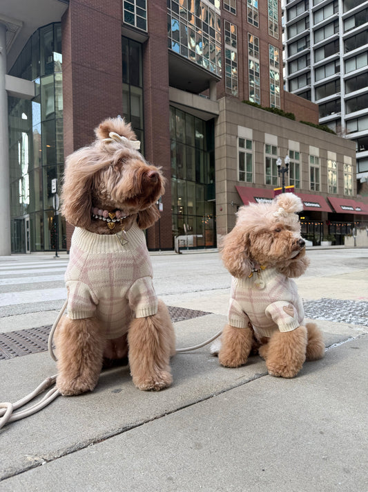 Hearthmauve Dog Sweater