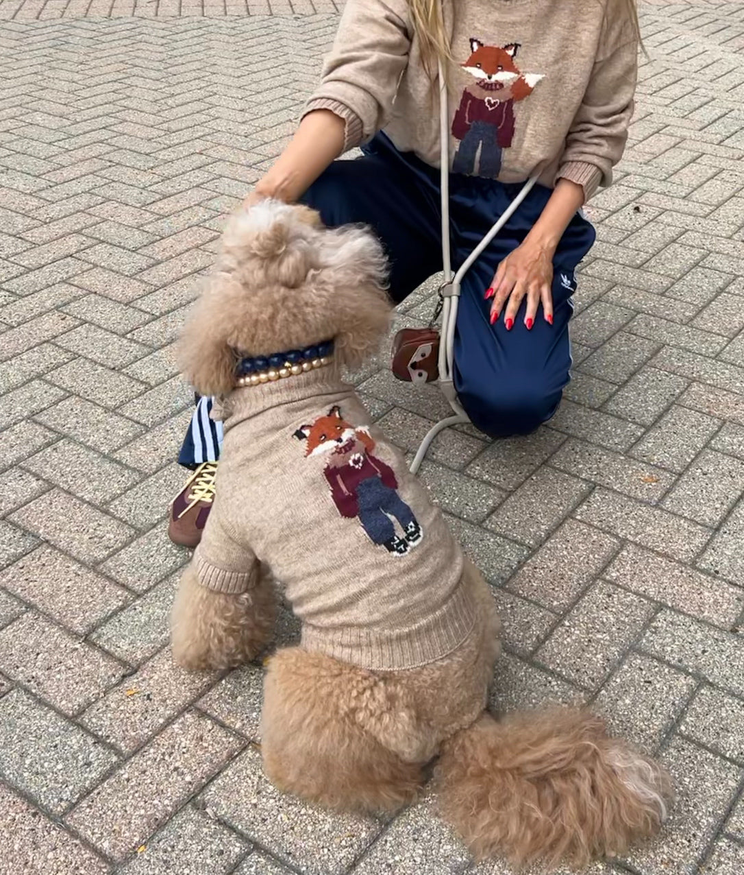 Foster the Fox Dog Sweater