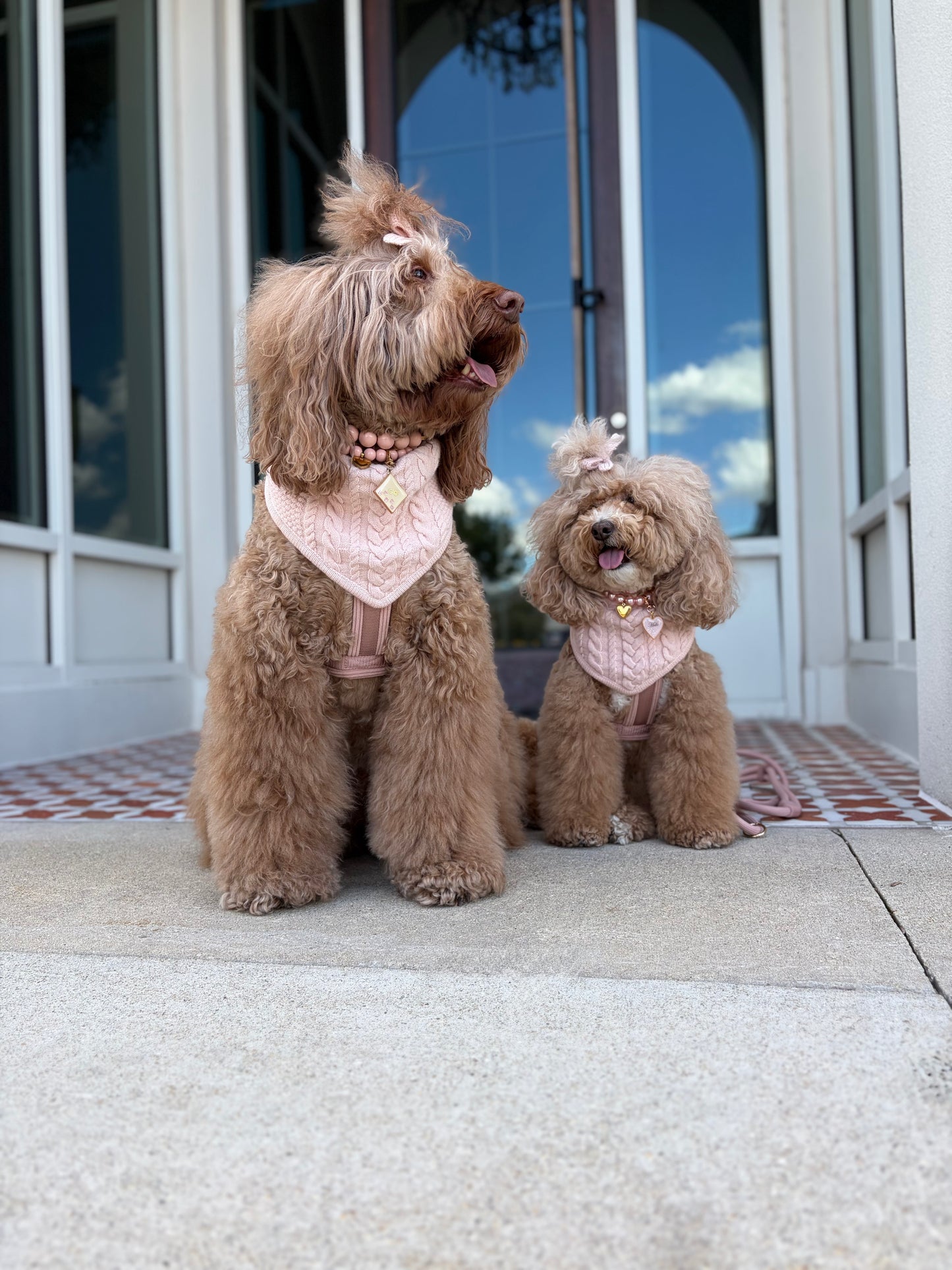 Luelle Reversible Bandana - Nude Blush