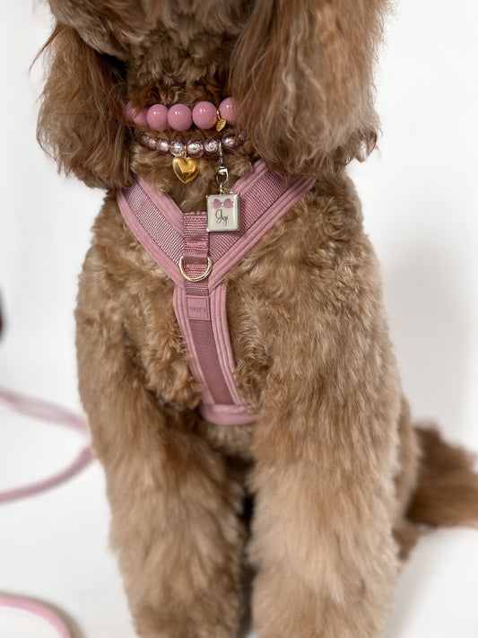 Comfort Sleek Rosy Harness