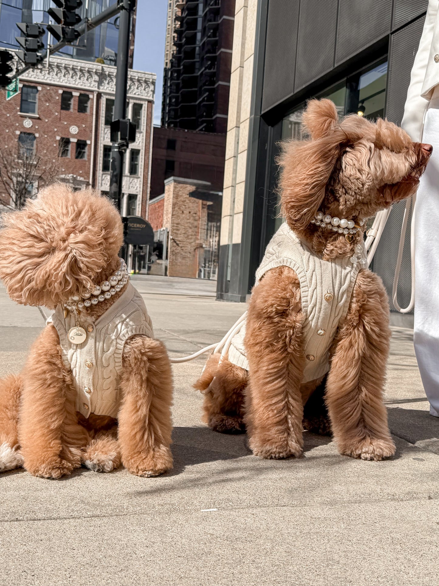 Ellis Dog Knit Vest- Soft Oat