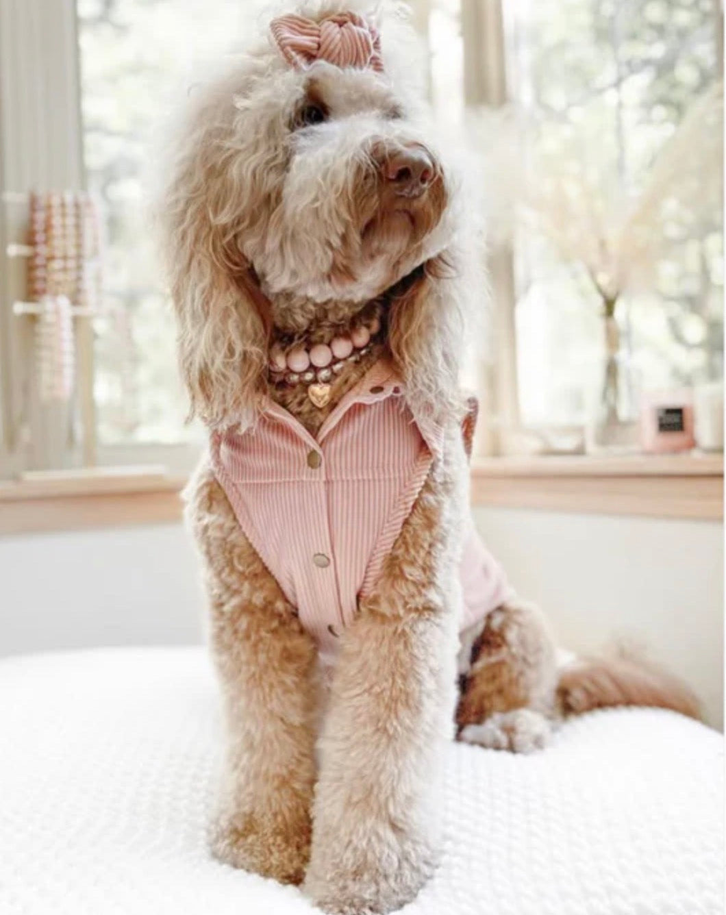 Cordelle Jacket - Nude Blush