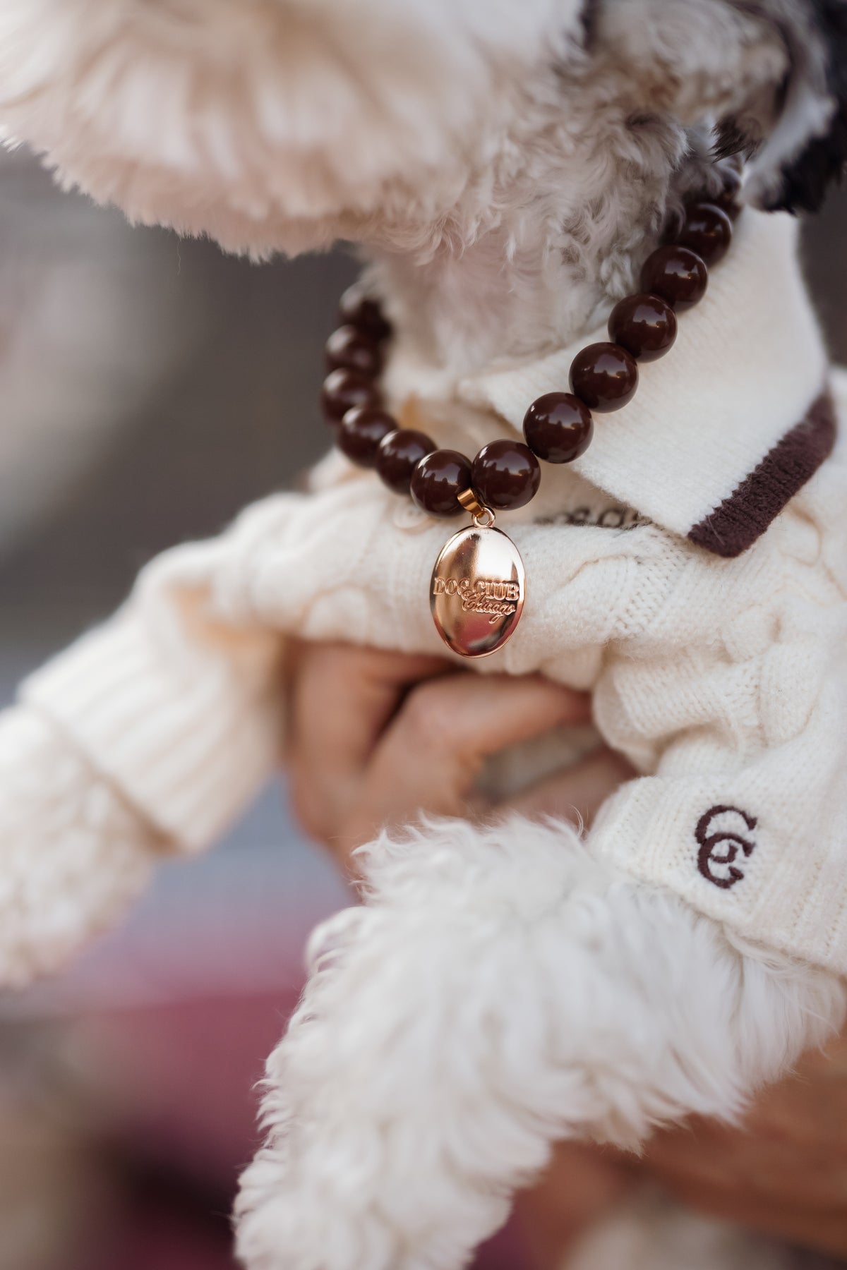 Dog Club Pretty Dark Chocolate Skinny Necklace