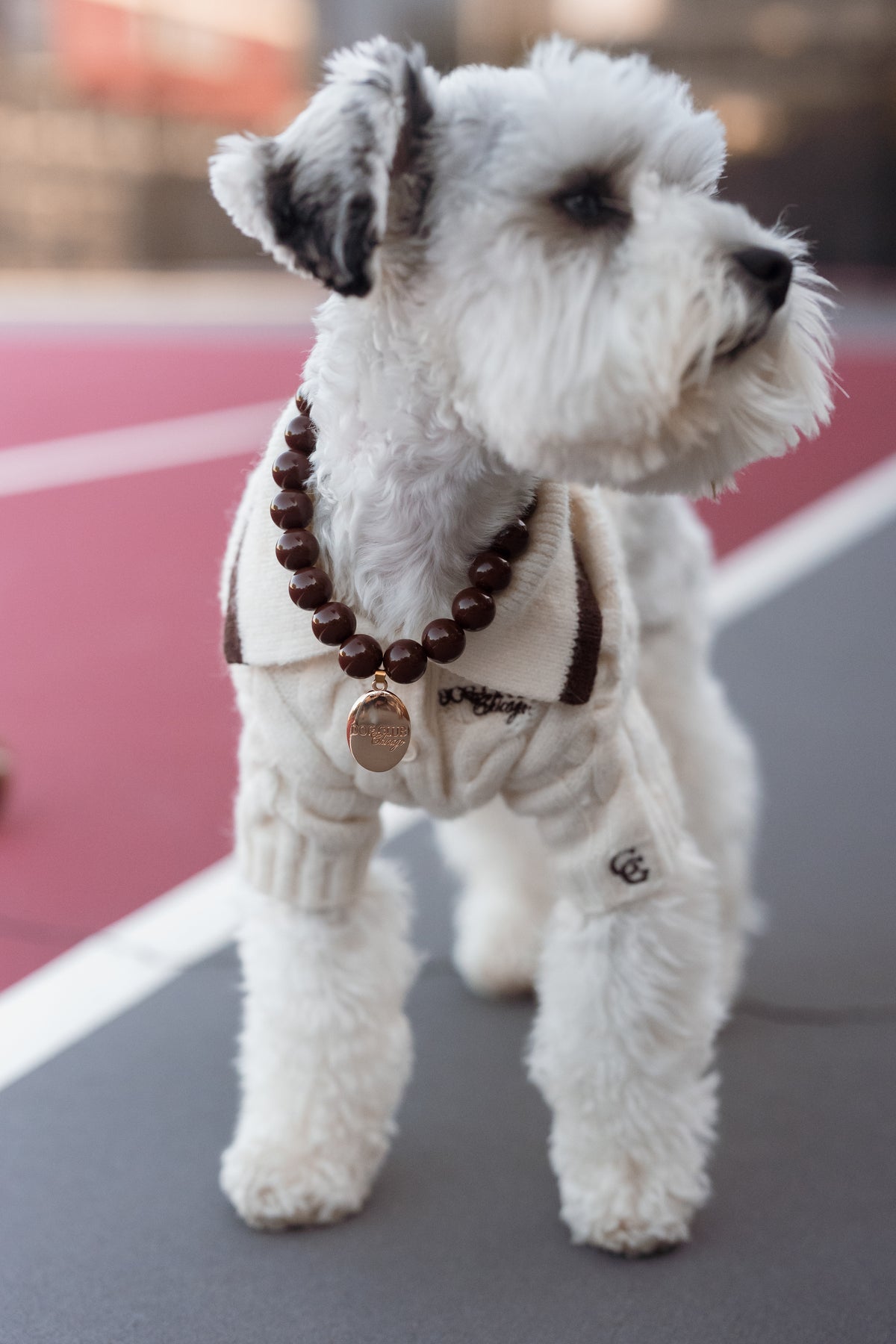 Dog Club Astor Dog Knit Polo – Ivory