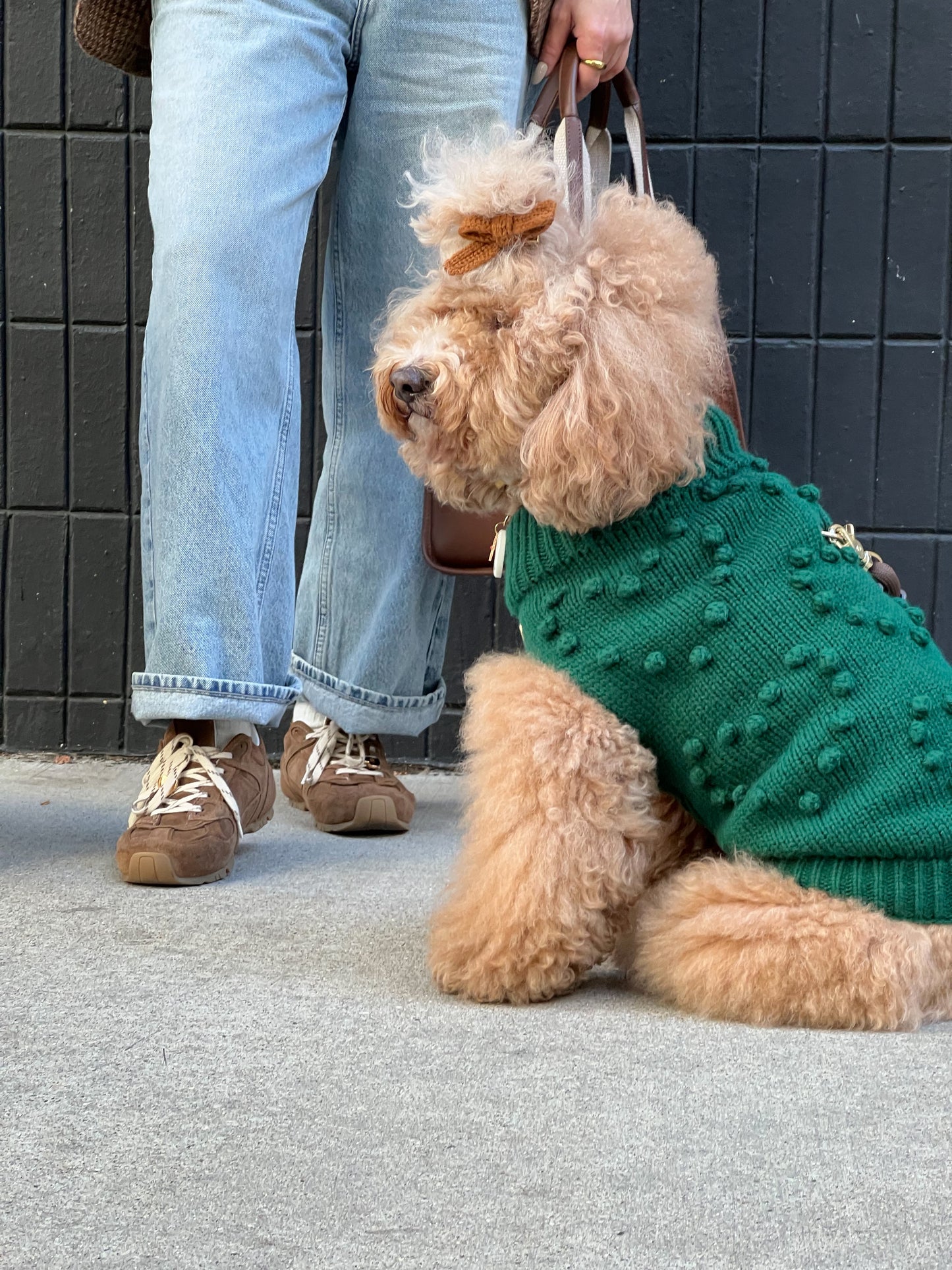 Evergreen Knit Dog Sweater