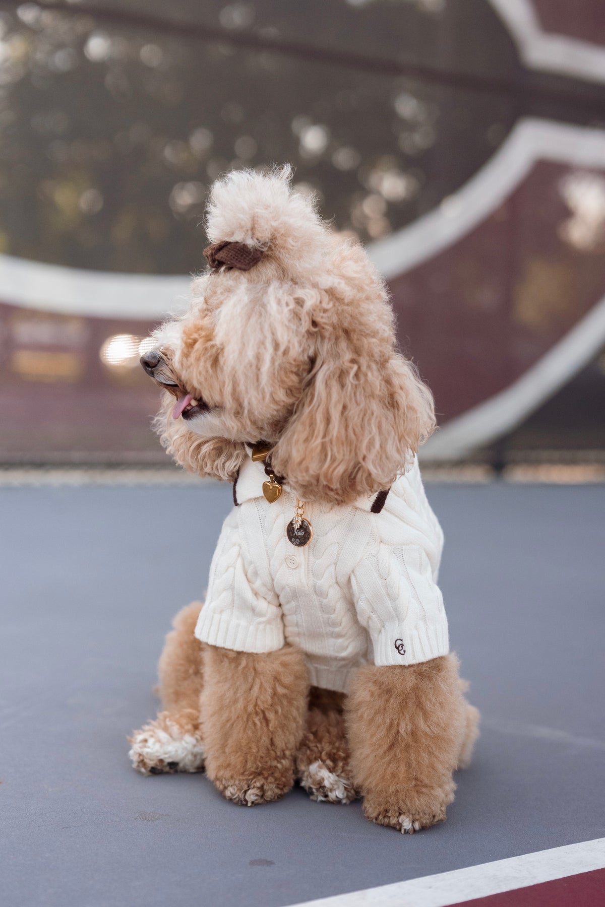 Astor Dog Knit Polo - Ivory