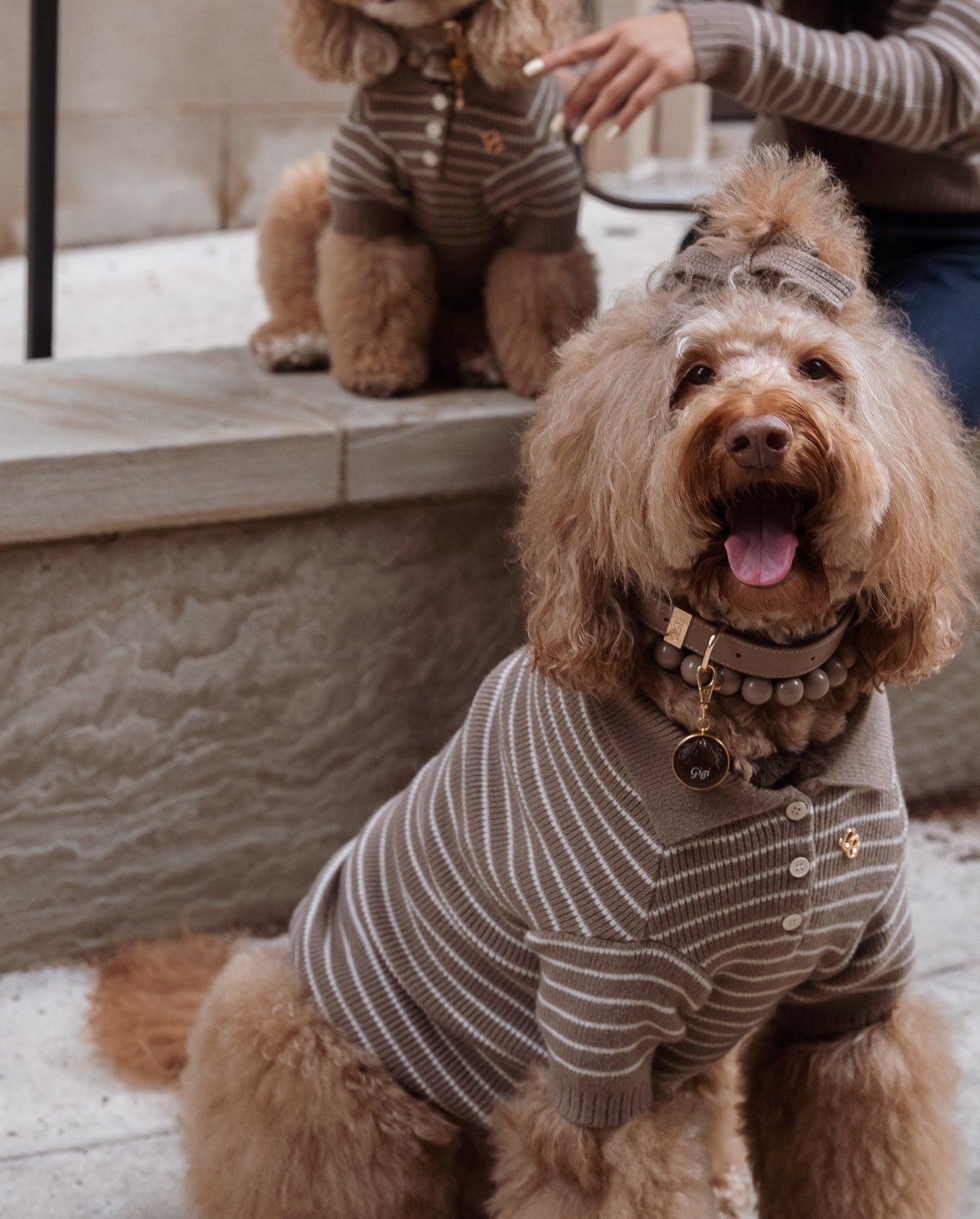 Rowe Dog Knit Polo - Mushroom