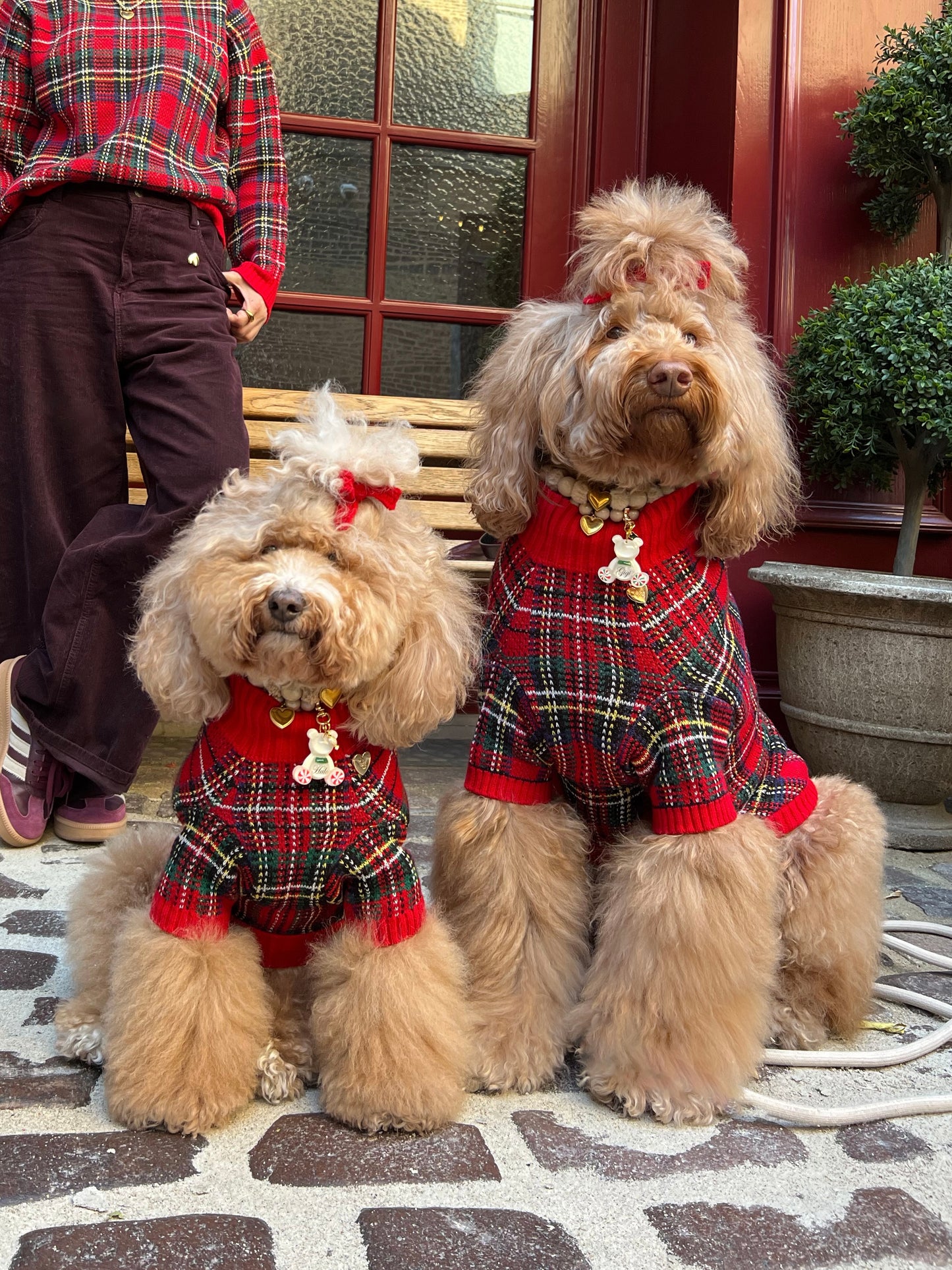 Tartanette Dog Sweater