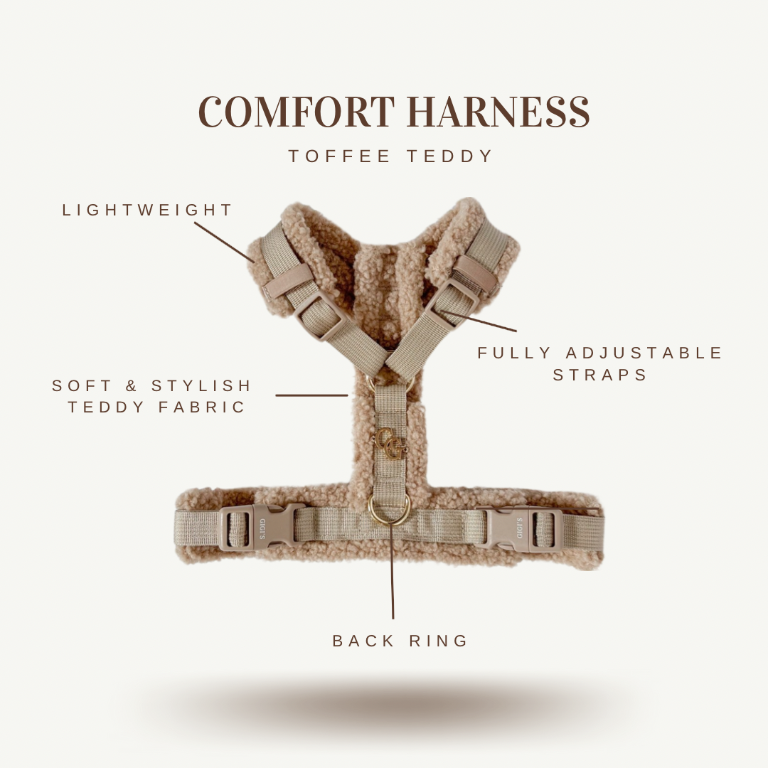 Comfort Teddy Harness/Leash Set- Toffee