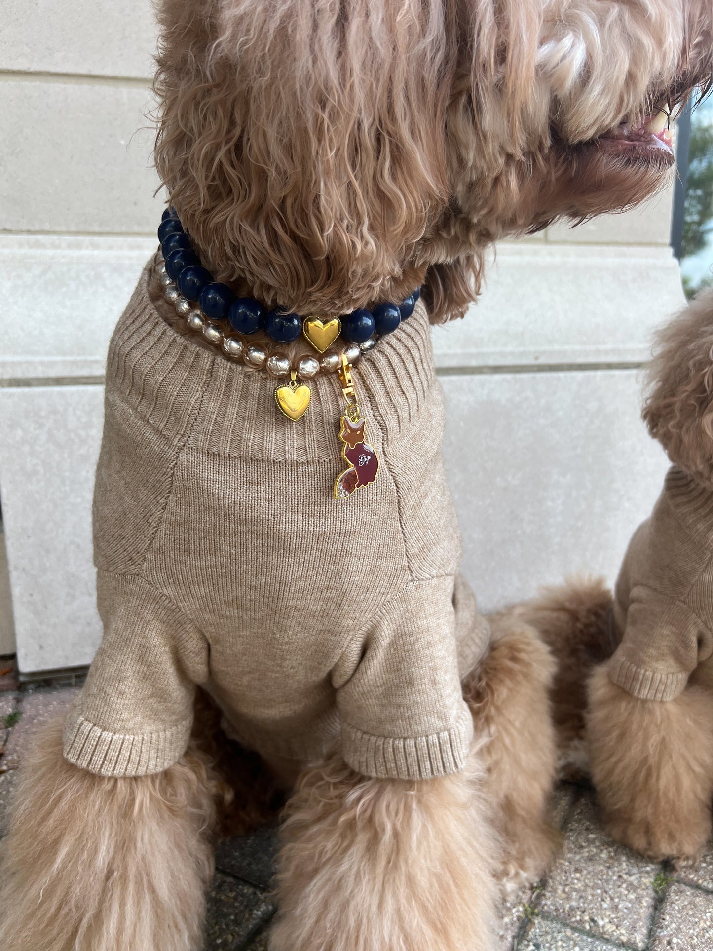 Foster the Fox Dog Sweater