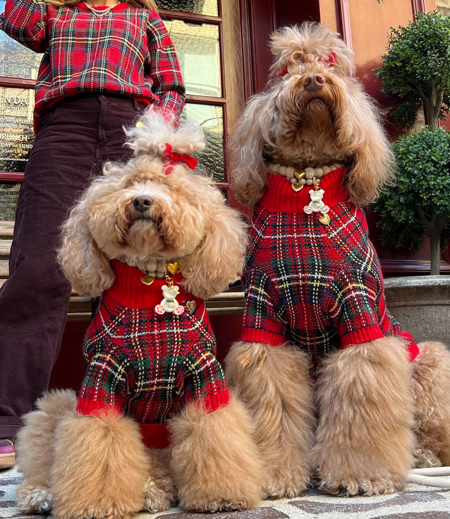 Tartanette Sweater Trio Set