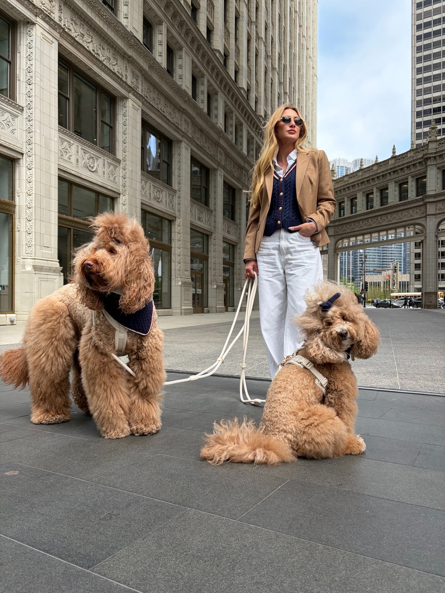 Rhodes Matching Dog Bandana & Women’s Knit Vest Set - Navy