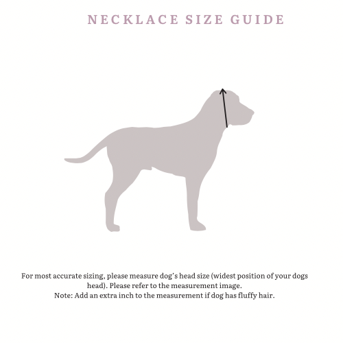 Allure Nude Pink Necklace