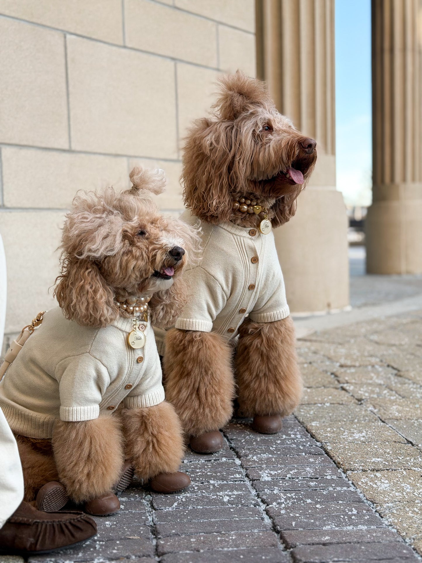 Cora Dog Knit Cardigan - Soft Oat