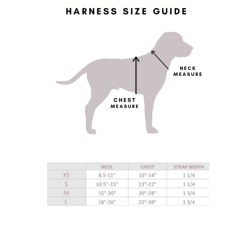 Comfort Teddy Creamy Cloud Harness & Hands-Free Bundle